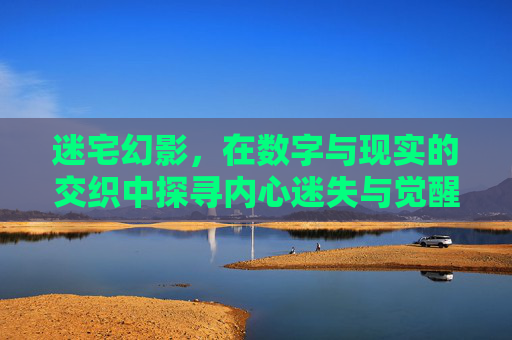 迷宅幻影，在数字与现实的交织中探寻内心迷失与觉醒