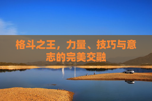 格斗之王,力量、技巧与意志的完美交融 格斗之王,力量、技巧与意志的完美交融