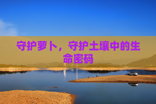 守护萝卜,守护土壤中的生命密码 守护萝卜,守护土壤中的生命密码