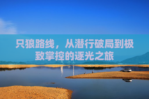 只狼路线,从潜行破局到极致掌控的逐光之旅 只狼路线,从潜行破局到极致掌控的逐光之旅