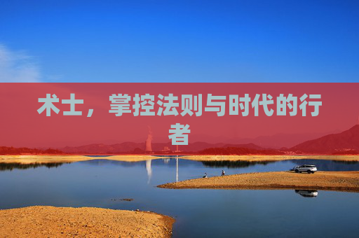 术士,掌控法则与时代的行者 术士,掌控法则与时代的行者
