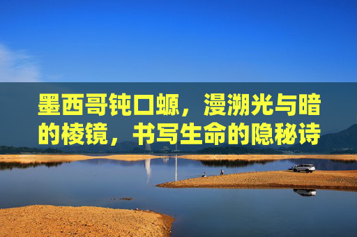 墨西哥钝口螈，漫溯光与暗的棱镜，书写生命的隐秘诗行