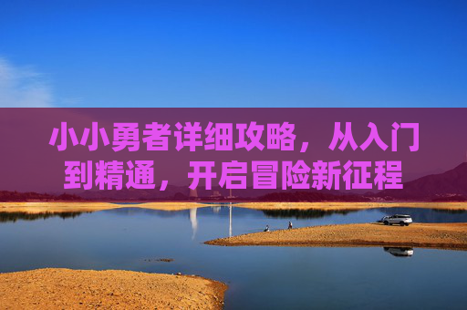 小小勇者详细攻略,从入门到精通,开启冒险新征程 小小勇者详细攻略,从入门到精通,开启冒险新征程