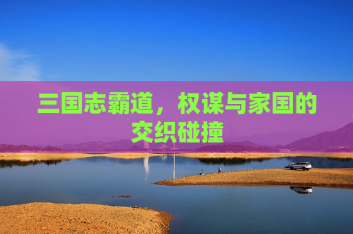 三国志霸道,权谋与家国的交织碰撞 三国志霸道,权谋与家国的交织碰撞