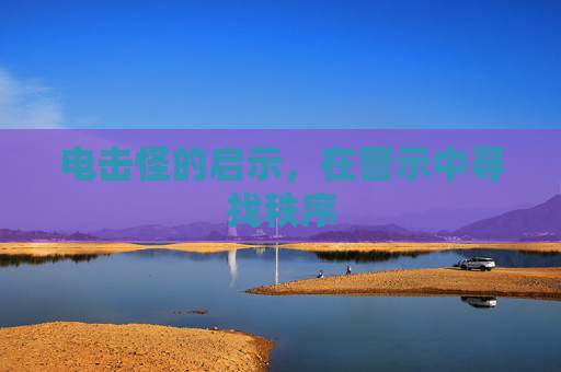 电击怪的启示，在警示中寻找秩序