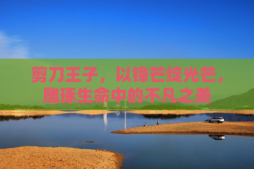 剪刀王子,以锋芒绽光芒,雕琢生命中的不凡之美 剪刀王子,以锋芒绽光芒,雕琢生命中的不凡之美