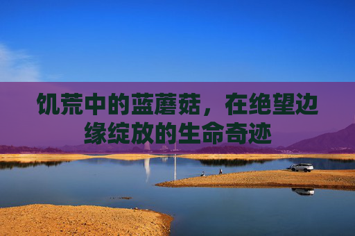 饥荒中的蓝蘑菇，在绝望边缘绽放的生命奇迹