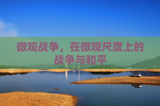 微观战争,在微观尺度上的战争与和平 微观战争,在微观尺度上的战争与和平
