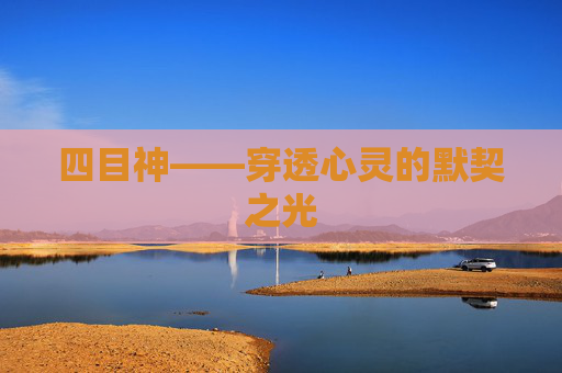 四目神——穿透心灵的默契之光