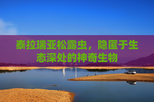 泰拉瑞亚松露虫,隐匿于生态深处的神奇生物 泰拉瑞亚松露虫,隐匿于生态深处的神奇生物