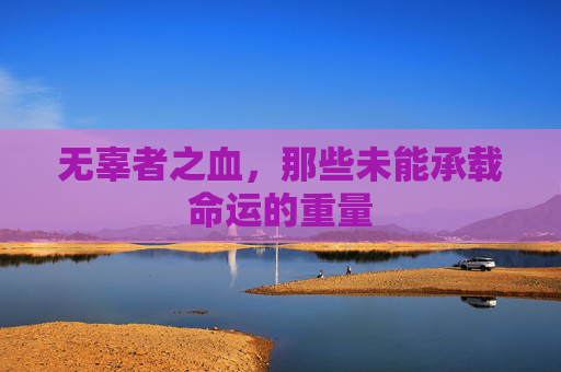无辜者之血，那些未能承载命运的重量
