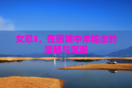 女忍3，在困境中淬炼出的坚韧与沉潜
