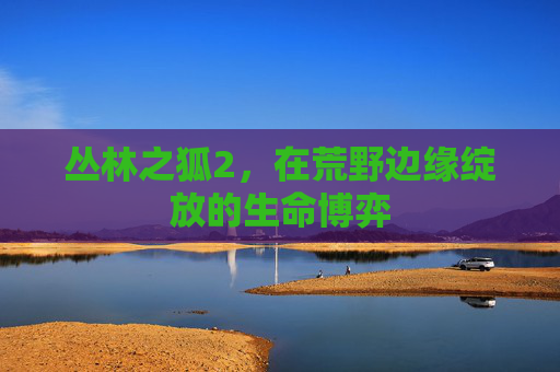 丛林之狐2,在荒野边缘绽放的生命博弈 丛林之狐2,在荒野边缘绽放的生命博弈