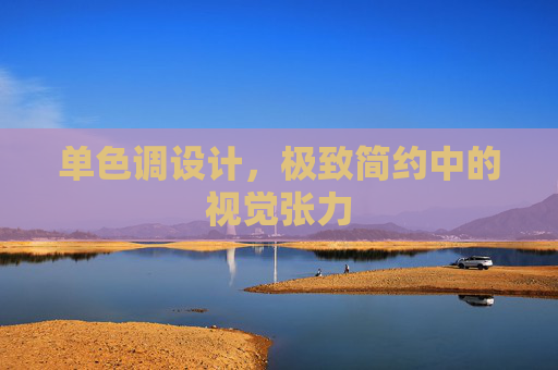 单色调设计,极致简约中的视觉张力 单色调设计,极致简约中的视觉张力