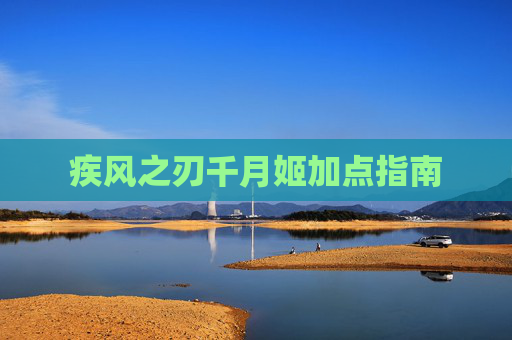 疾风之刃千月姬加点指南 疾风之刃千月姬加点指南