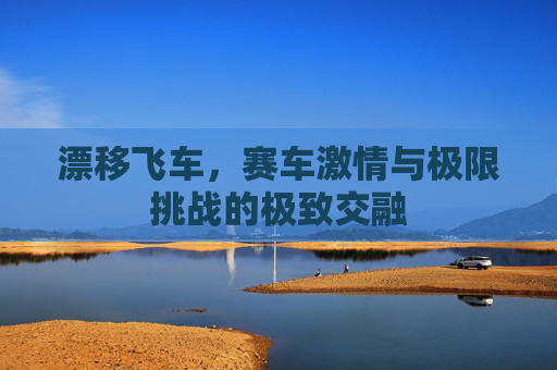 漂移飞车,赛车激情与极限挑战的极致交融 漂移飞车,赛车激情与极限挑战的极致交融