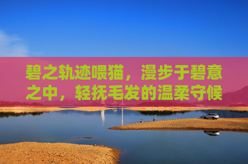碧之轨迹喂猫,漫步于碧意之中,轻抚毛发的温柔守候 碧之轨迹喂猫,漫步于碧意之中,轻抚毛发的温柔守候