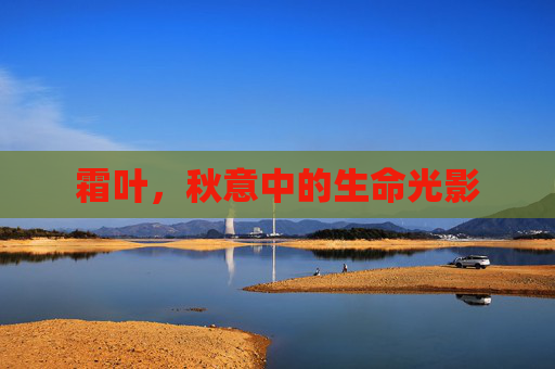 霜叶，秋意中的生命光影