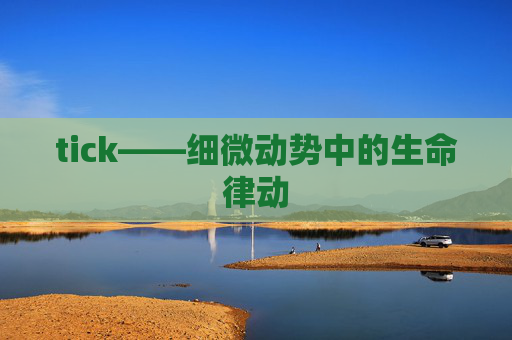 tick——细微动势中的生命律动 tick——细微动势中的生命律动