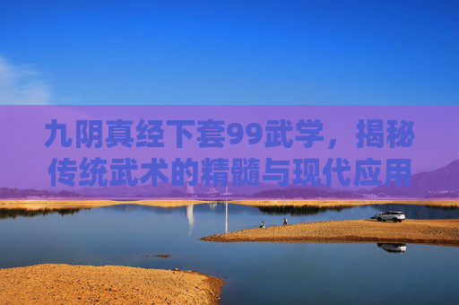 九阴真经下套99武学,揭秘传统武术的精髓与现代应用 九阴真经下套99武学,揭秘传统武术的精髓与现代应用