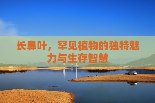 长鼻叶,罕见植物的独特魅力与生存智慧 长鼻叶,罕见植物的独特魅力与生存智慧