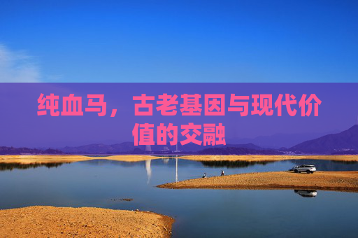 纯血马,古老基因与现代价值的交融 纯血马,古老基因与现代价值的交融