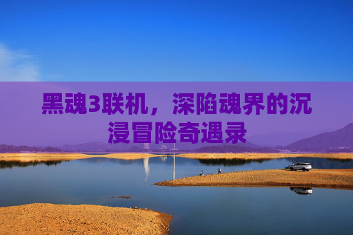 黑魂3联机，深陷魂界的沉浸冒险奇遇录
