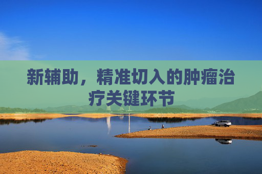 新辅助,精准切入的肿瘤治疗关键环节 新辅助,精准切入的肿瘤治疗关键环节