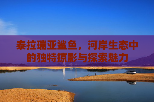 泰拉瑞亚鲨鱼,河岸生态中的独特掠影与探索魅力 泰拉瑞亚鲨鱼,河岸生态中的独特掠影与探索魅力
