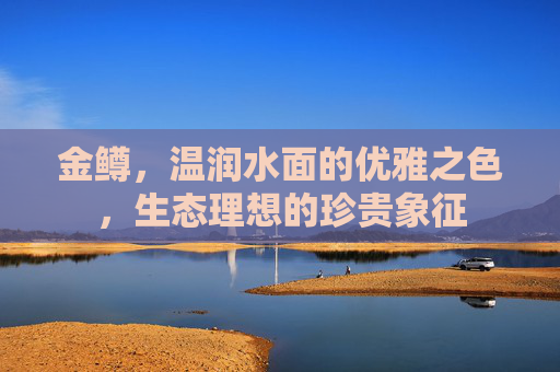 金鳟,温润水面的优雅之色,生态理想的珍贵象征 金鳟,温润水面的优雅之色,生态理想的珍贵象征