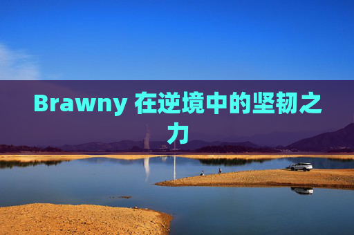 Brawny 在逆境中的坚韧之力 Brawny 在逆境中的坚韧之力
