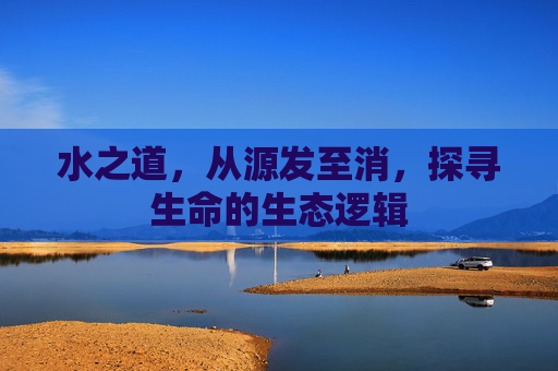 水之道，从源发至消，探寻生命的生态逻辑