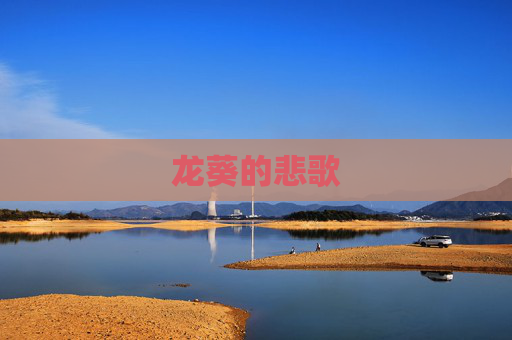 龙葵的悲歌 龙葵的悲歌