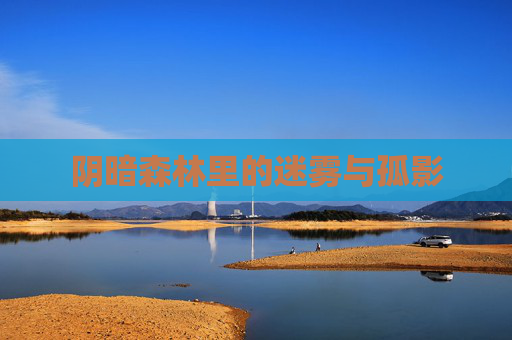 阴暗森林里的迷雾与孤影 阴暗森林里的迷雾与孤影