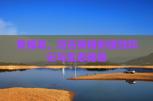 骨锤龙,远古脊椎的侵蚀印记与生态隐喻 骨锤龙,远古脊椎的侵蚀印记与生态隐喻