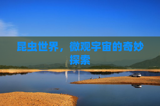 昆虫世界,微观宇宙的奇妙探索 昆虫世界,微观宇宙的奇妙探索