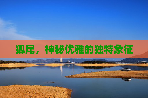 狐尾,神秘优雅的独特象征 狐尾,神秘优雅的独特象征