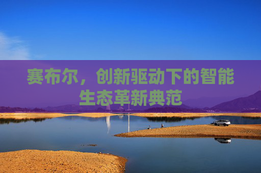 赛布尔,创新驱动下的智能生态革新典范 赛布尔,创新驱动下的智能生态革新典范
