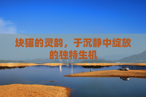 块猫的灵韵,于沉静中绽放的独特生机 块猫的灵韵,于沉静中绽放的独特生机