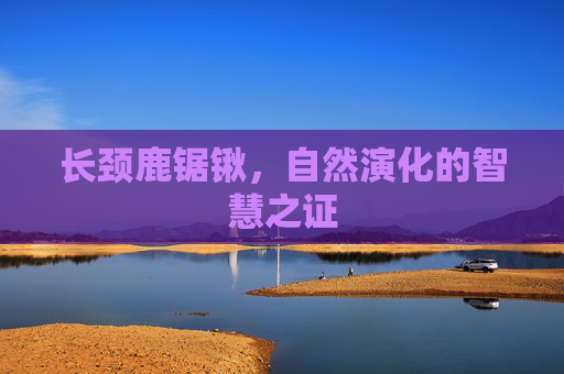 长颈鹿锯锹,自然演化的智慧之证 长颈鹿锯锹,自然演化的智慧之证