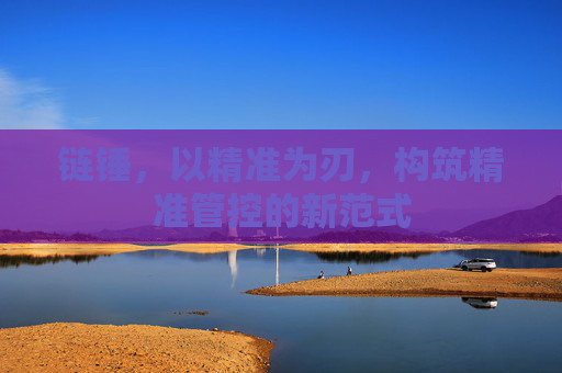 链锤,以精准为刃,构筑精准管控的新范式 链锤,以精准为刃,构筑精准管控的新范式