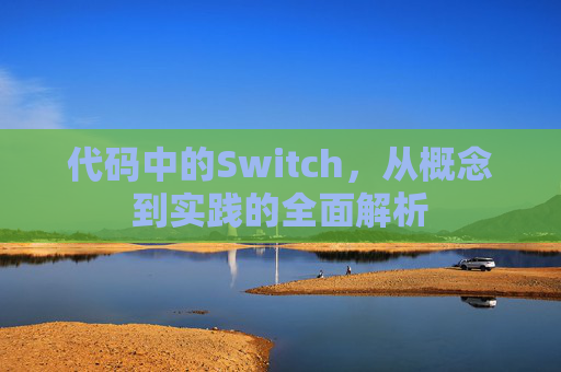 代码中的Switch，从概念到实践的全面解析