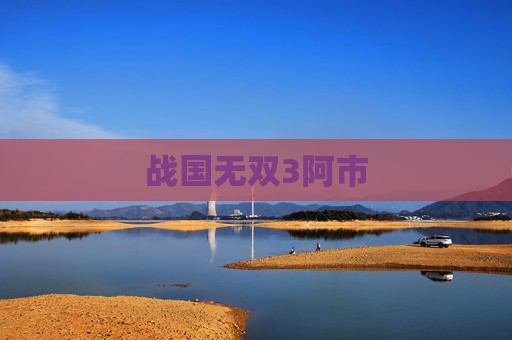 战国无双3阿市 战国无双3阿市