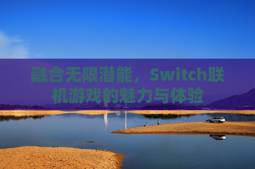 融合无限潜能,Switch联机游戏的魅力与体验 融合无限潜能,Switch联机游戏的魅力与体验