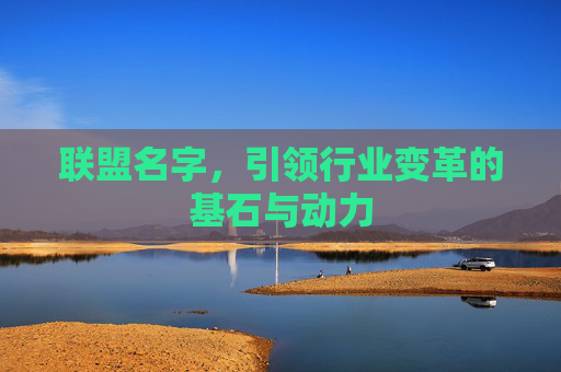 联盟名字，引领行业变革的基石与动力