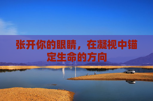 张开你的眼睛,在凝视中锚定生命的方向 张开你的眼睛,在凝视中锚定生命的方向