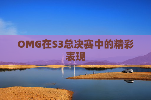 OMG在S3总决赛中的精彩表现 OMG在S3总决赛中的精彩表现