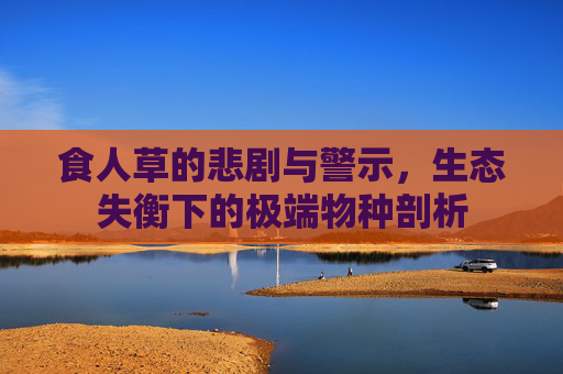 食人草的悲剧与警示,生态失衡下的极端物种剖析 食人草的悲剧与警示,生态失衡下的极端物种剖析
