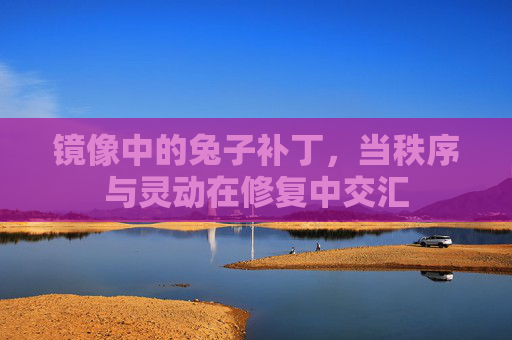 镜像中的兔子补丁,当秩序与灵动在修复中交汇 镜像中的兔子补丁,当秩序与灵动在修复中交汇