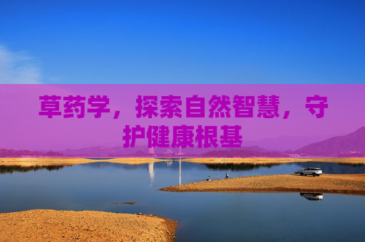 草药学，探索自然智慧，守护健康根基